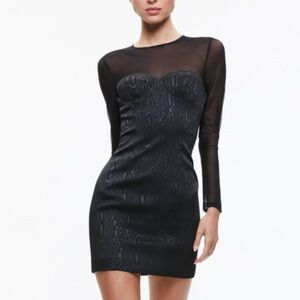 Alice + Olivia Takako Mesh Black Crew Neck Mini Dress